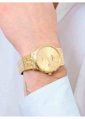 Чоловічі наручні годинники Festina F20513/3 (388864862)