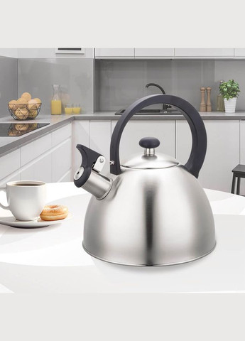 Чайник зі свистком для плити 2.5 л (MR-1302) Maestro (334712885)