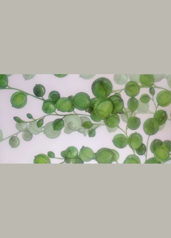 Наклейка на стену Свисающие разноцветные растения (лист 60 х 90 см) Б296-5 No Brand (302242399)