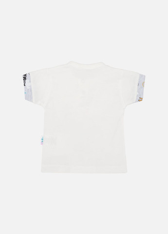 Серый летний костюм с шортами для мальчика цвет серый цб-00243115 Minilay