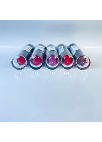 Стійка помада для губ #112 східний червоний, 4г KSKY LONG LASTINGLIPSTICK (356459497)