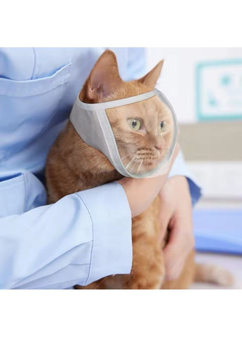 Відновний комір — прозорий конус Маска Розмір М 20-25 см. Xtep (320953348)