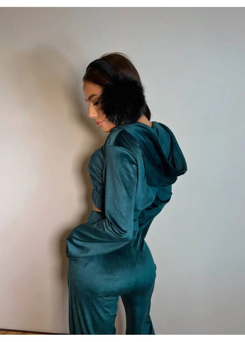 Велюровый женский костюм No Brand (362085390)