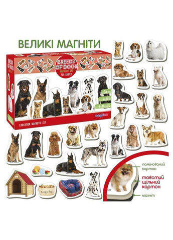 Детский развивающий набор магнитов "Породы собак" ML4031-20EN 24 фотомагниты MAGDUM (334157680)