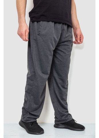 Темно-серые демисезонные брюки Ager