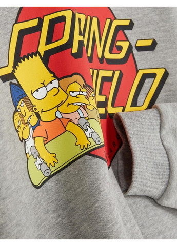 Дитяче тепле худі для хлопчика Сірий меланж (25101027) Primark (367581999)