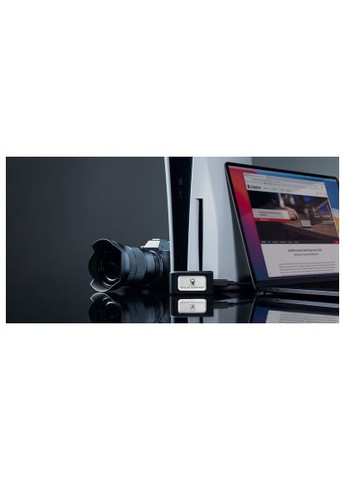 Накопичувач SSD (SXS2000/1000GA) Kingston USB Type-C 1TB XS2000 (366647078)