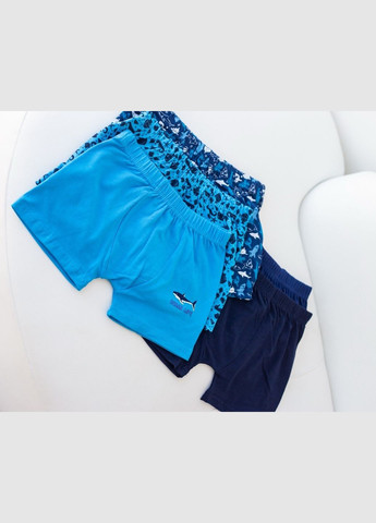 Набір підліткових трусів-боксерів для хлопчика (5 штук) Nicoletta (342119827)