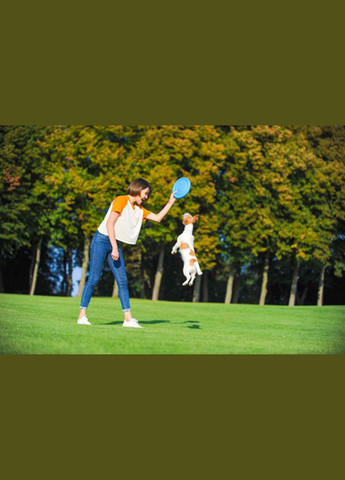 Ігрова тарілка для апортування 24 см Рожевий PitchDog (329994080)