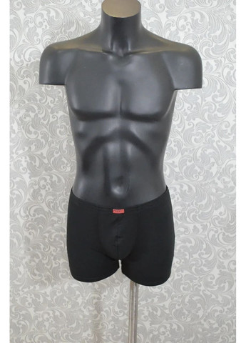 Труси LANS (373274068)