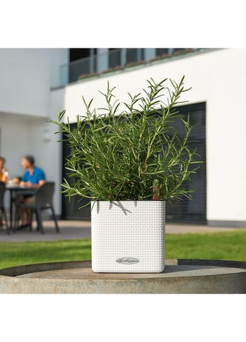 Розумний вазон Cube Color 16 1,75 л сірий 13584 Lechuza (362264907)