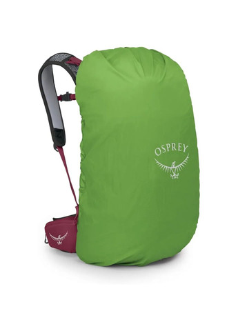 Рюкзак Hikelite 28 Osprey (354697999)