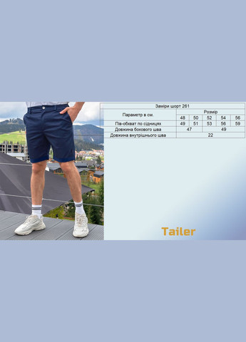 Мужские повседневные летние шорты классического стиля с карманами Tailer (293244719)