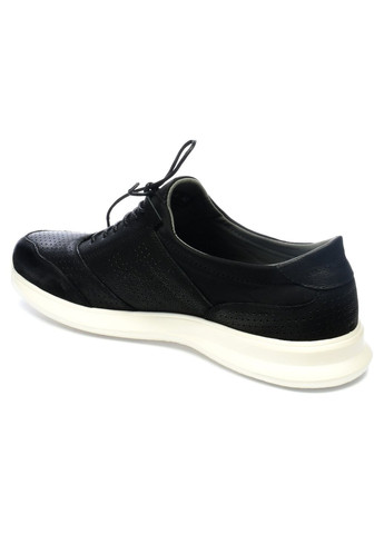 Демісезонні спортивні туфлі Veritas (268132414)