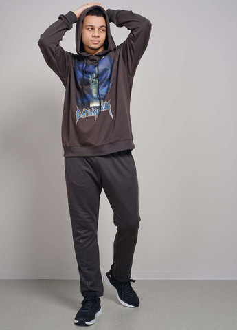 Серые спортивные демисезонные брюки Fashion