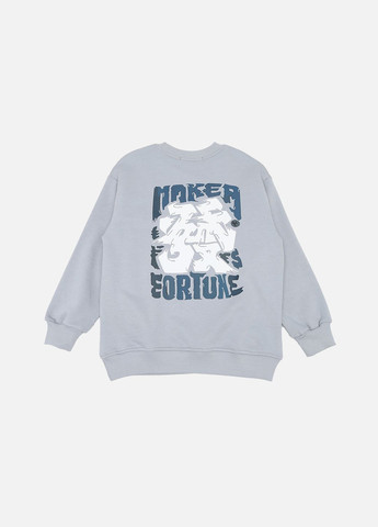 Yuki світшот для хлопчика колір сірий цб-00269724 сірий трикотаж