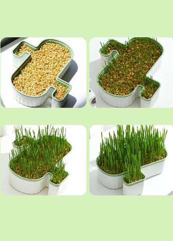 Лоток для гідропонного вирощування мікрозелені та розсади кактус зелений (NR0139_3) No Brand (303898372)