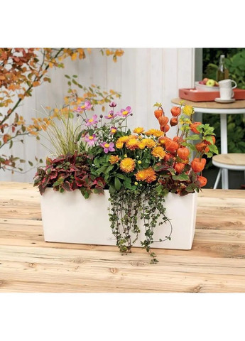 Кашпо Balconera Color 50 12 л 15696 Lechuza (364555021)