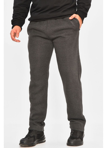 Спортивні штани чоловічі на флісі темно-сірого кольору Let's Shop (363253882)