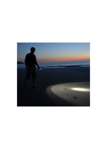 Фонарь Intensity 480 Torch Lifesystems (369373734)