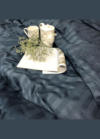 Комплект постільної білизни Полуторний Сатин Stripe 67 Tiare (365289348)