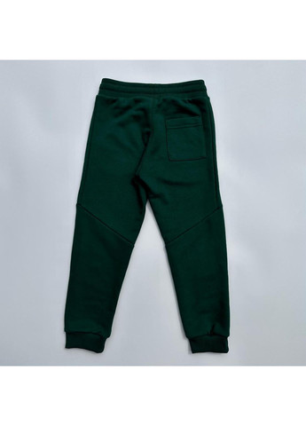 Спортивні штани для дівчаток Тринитка Ginger Cat (372665633)