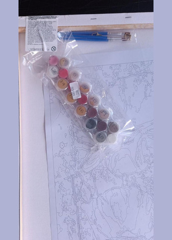 Дівчата картини за номерами Набір для розпису на полотні Східна краса Живопис по номерам 40x50 із золотою фарбою GS1083 Strateg (308987997)