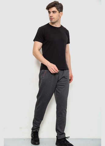 Темно-серые спортивные демисезонные брюки Ager