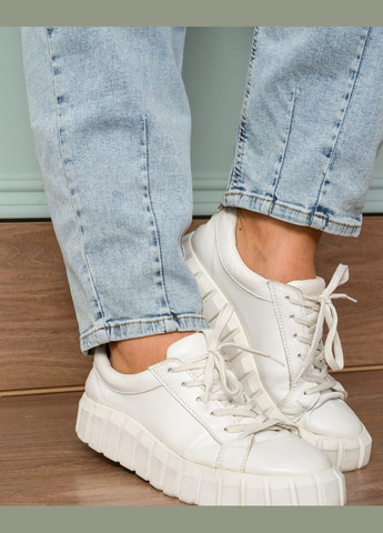 Джинсы CJeans 6074-7 Alenka Plus - (354699772)