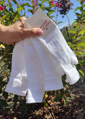 Шкарпетки дитячі бавоняні 6 пар Житомир DS 847/6 Lomani (360564137)