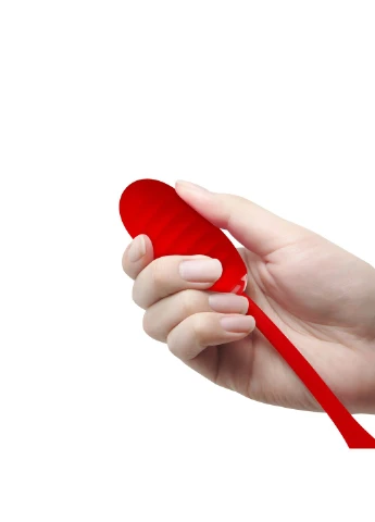 Виброяйцо Kirk Red 12 function vibrationsPRETTY LOVE 16692 Pretty Love (391588708)