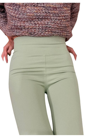 Лосини еластичні в рубчик жіночі з високим широким поясом класичні без утеплення демісезон 99-101см No Brand Лосини в рубчик класичні без підкладки фуксія (342758757)