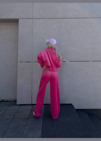 Женский велюровый костюм Osoblyva (346917969)