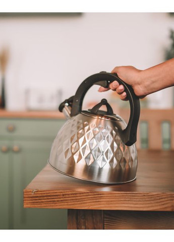 Чайник со свистком 5C0225 FENNY SATIN (2,5л) Florina (360401931)