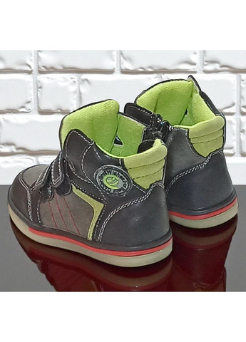Утеплені демісезонні черевики на липучках осінні ортопедичні хайтопи для хлопчика на флісі Клібі Clibee (362378420)