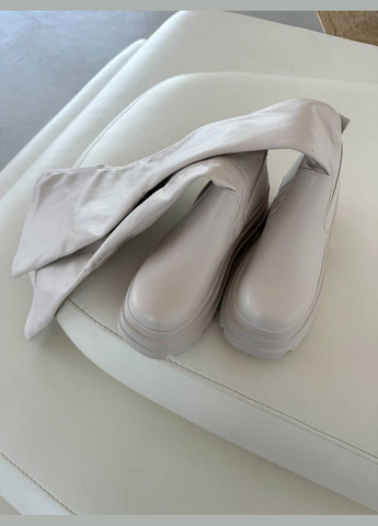 Стильні жіночі ботфорти No Brand (299733116)