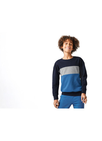 Pepperts світшот двунитка для хлопчика lidl 402769 синій синій