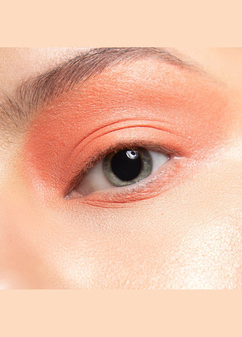 Тіні Basic 002 - Лососевий, 2г PROVG (302227786)