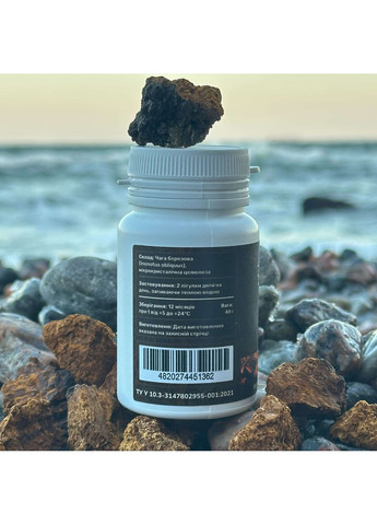 Чага березовая, таблетки 120 шт по 0.4 г Лісовик (334711120)