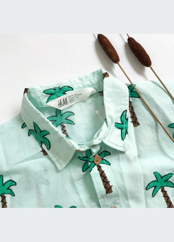 Сорочка 116 см блакитний артикул Л452 H&M (290704704)