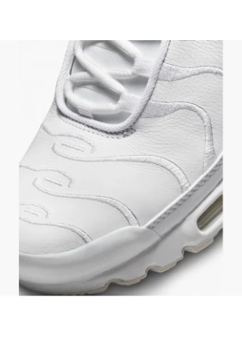 Цветные всесезонные кроссовки air max plus aj2029-100 Nike