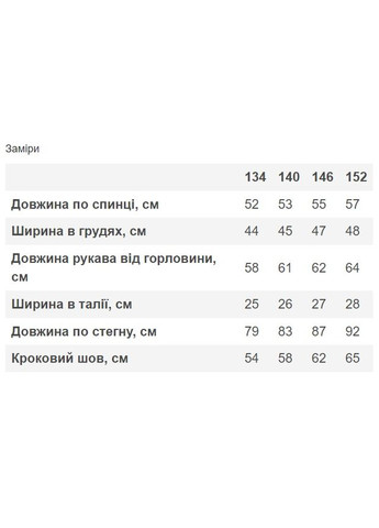 Утеплений спортивний костюм для дівчинки No Brand (303876747)