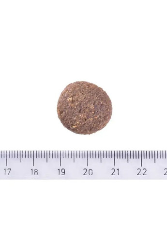 Сухой корм для собак крупных пород Dog Hypoallergenic Adult Large Breed (ягненок) 1 кг Brit Care (306442443)