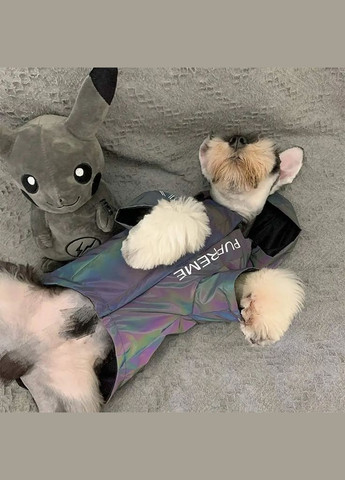 Куртка з тонкою підкладкою водонепроникна, світловідбиваюча для собак сіра XXL розмір No Brand (299840243)