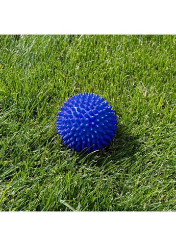 Іграшка для собак та котиків, м'яч із шипами (гольчастий м'ячик для котів, кішок) ПВХ 7,5 см (R-00010) OSPORT (370709343)