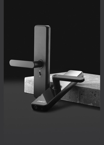 Смарт-замок биометрический Ministr черный PES (347324697)