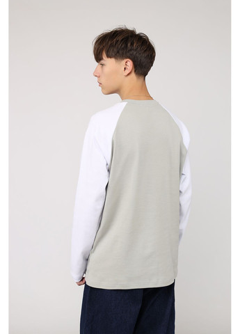 Футболка з довгим рукавом чоловіча колір сірий ЦБ-00286340 Yuki сірий трикотаж