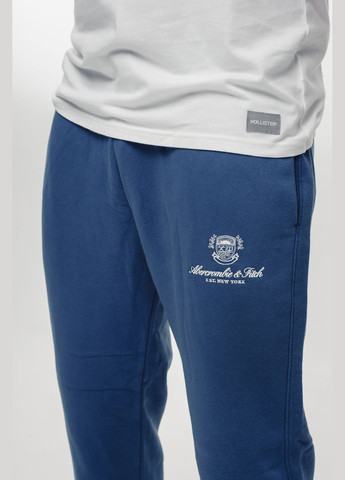 Синие демисезонные брюки Abercrombie & Fitch