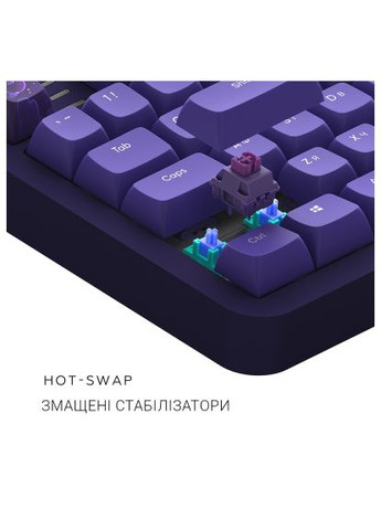 Клавіатура (DPKB_CELESTIAL_87_ANSI_UA) Dark Project ALU87 Celestial ABS RGB Mech G3MS Voidstone Violet (366159558)