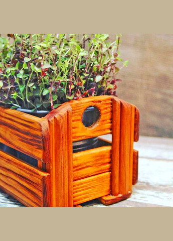 Кашпо з дерева Дубравна шафран (КАШ-001306) No Brand (328450333)